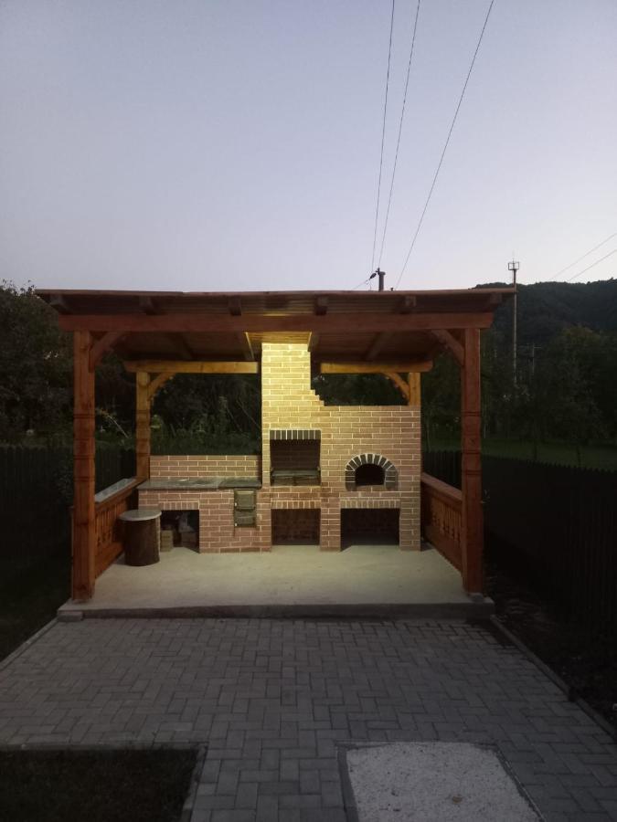 Casa Edy Villa Vişeu de Sus Eksteriør bilde